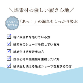 【30cc】吸水パッド付き／ゆったりラクラクショーツ3枚組 日本製